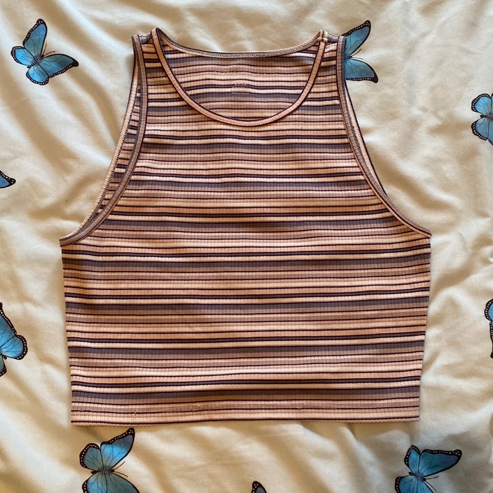 American Eagle Outfitters Pink and Brown Striped Ribbed Crop Tank